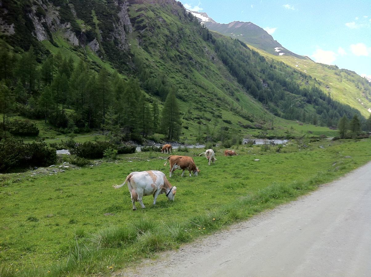 Scol Sporthotel Grossglockner Kals am Grossglockner Exterior photo